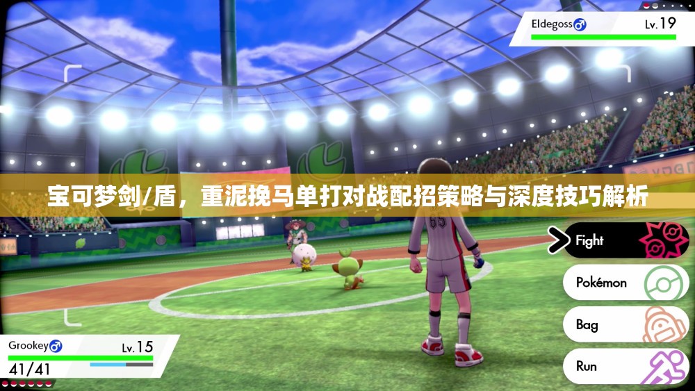 宝可梦剑/盾，重泥挽马单打对战配招策略与深度技巧解析