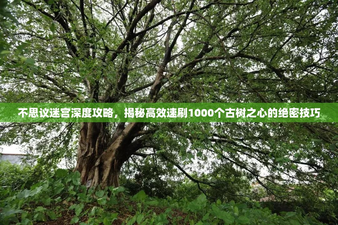 不思议迷宫深度攻略，揭秘高效速刷1000个古树之心的绝密技巧