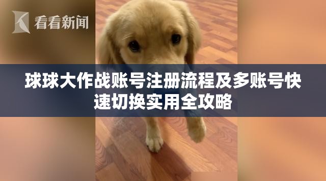球球大作战账号注册流程及多账号快速切换实用全攻略