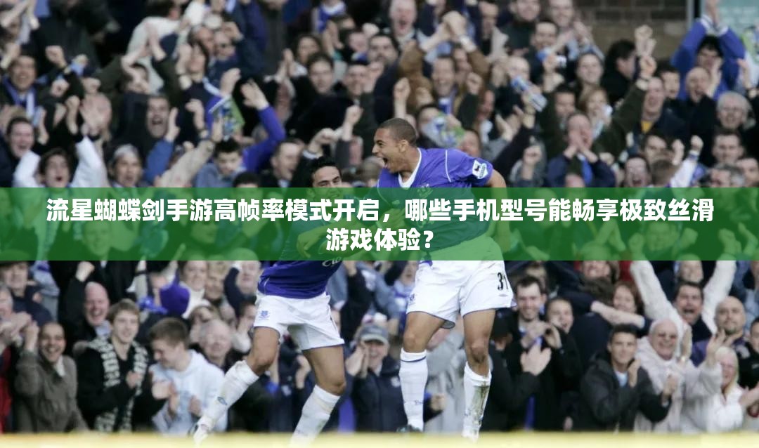流星蝴蝶剑手游高帧率模式开启，哪些手机型号能畅享极致丝滑游戏体验？