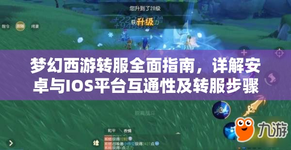 梦幻西游转服全面指南，详解安卓与IOS平台互通性及转服步骤