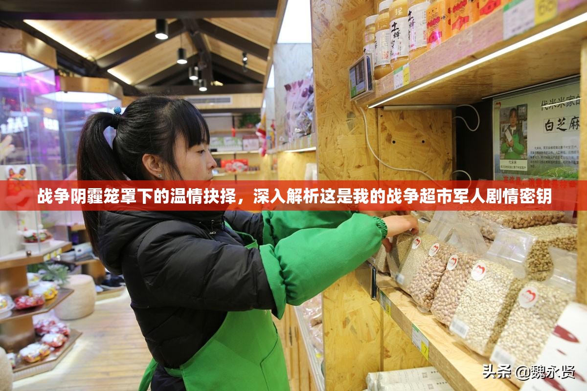 战争阴霾笼罩下的温情抉择，深入解析这是我的战争超市军人剧情密钥