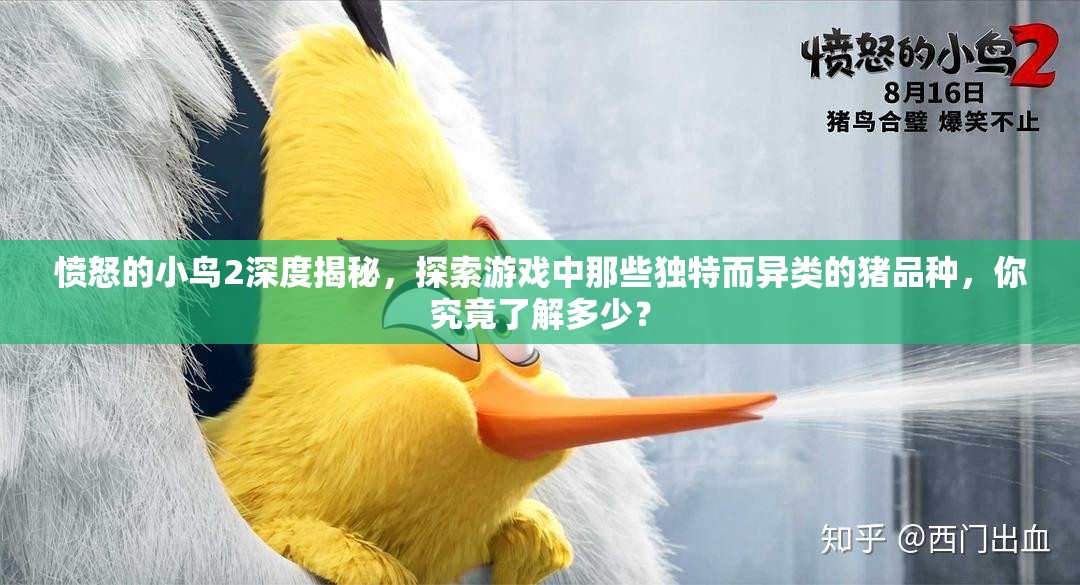 愤怒的小鸟2深度揭秘，探索游戏中那些独特而异类的猪品种，你究竟了解多少？