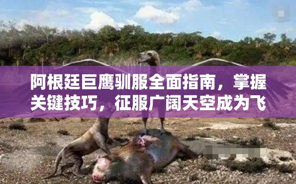 阿根廷巨鹰驯服全面指南，掌握关键技巧，征服广阔天空成为飞行大师