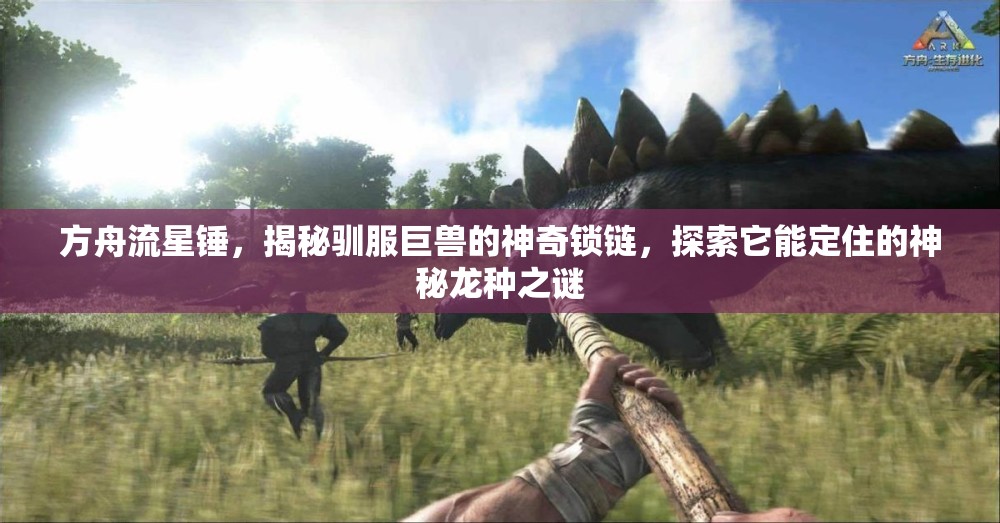 方舟流星锤，揭秘驯服巨兽的神奇锁链，探索它能定住的神秘龙种之谜