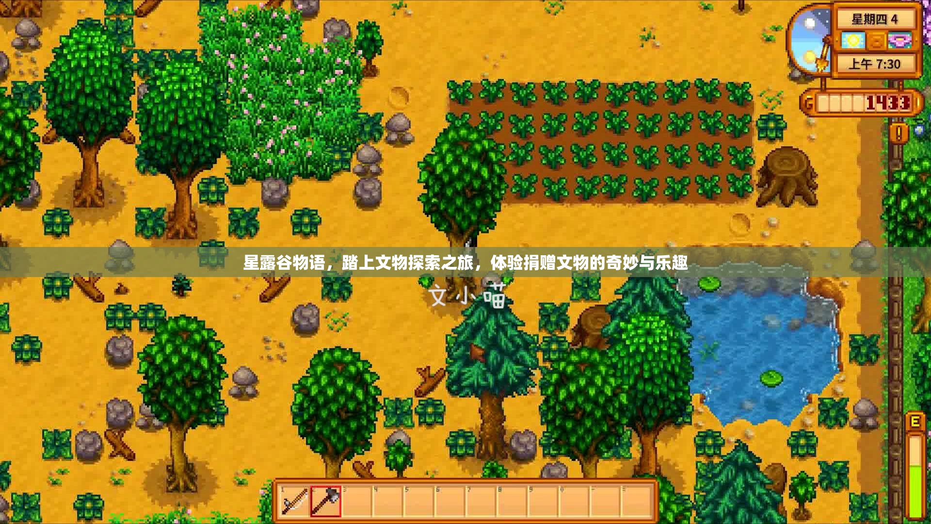 星露谷物语，踏上文物探索之旅，体验捐赠文物的奇妙与乐趣