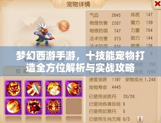 梦幻西游手游，十技能宠物打造全方位解析与实战攻略
