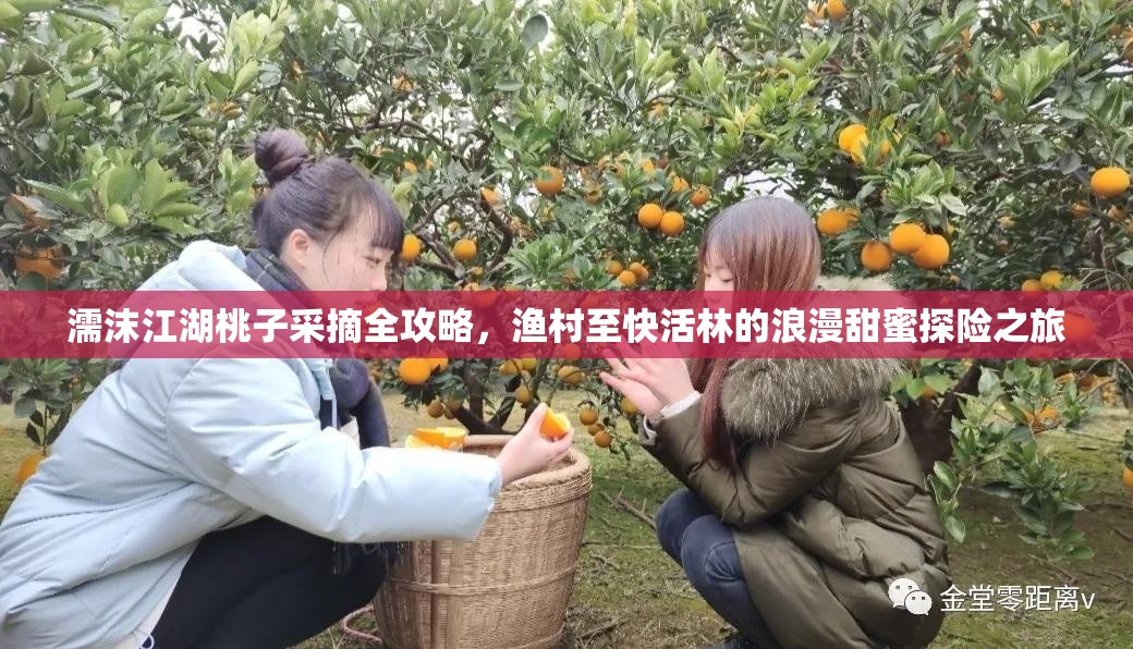 濡沫江湖桃子采摘全攻略，渔村至快活林的浪漫甜蜜探险之旅