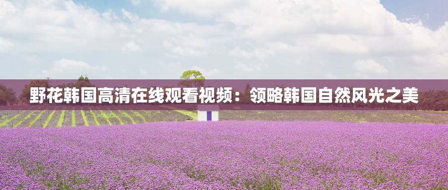 野花韩国高清在线观看视频：领略韩国自然风光之美