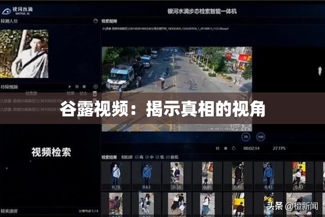 谷露视频：揭示真相的视角