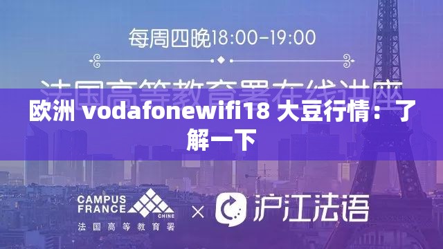 欧洲 vodafonewifi18 大豆行情：了解一下