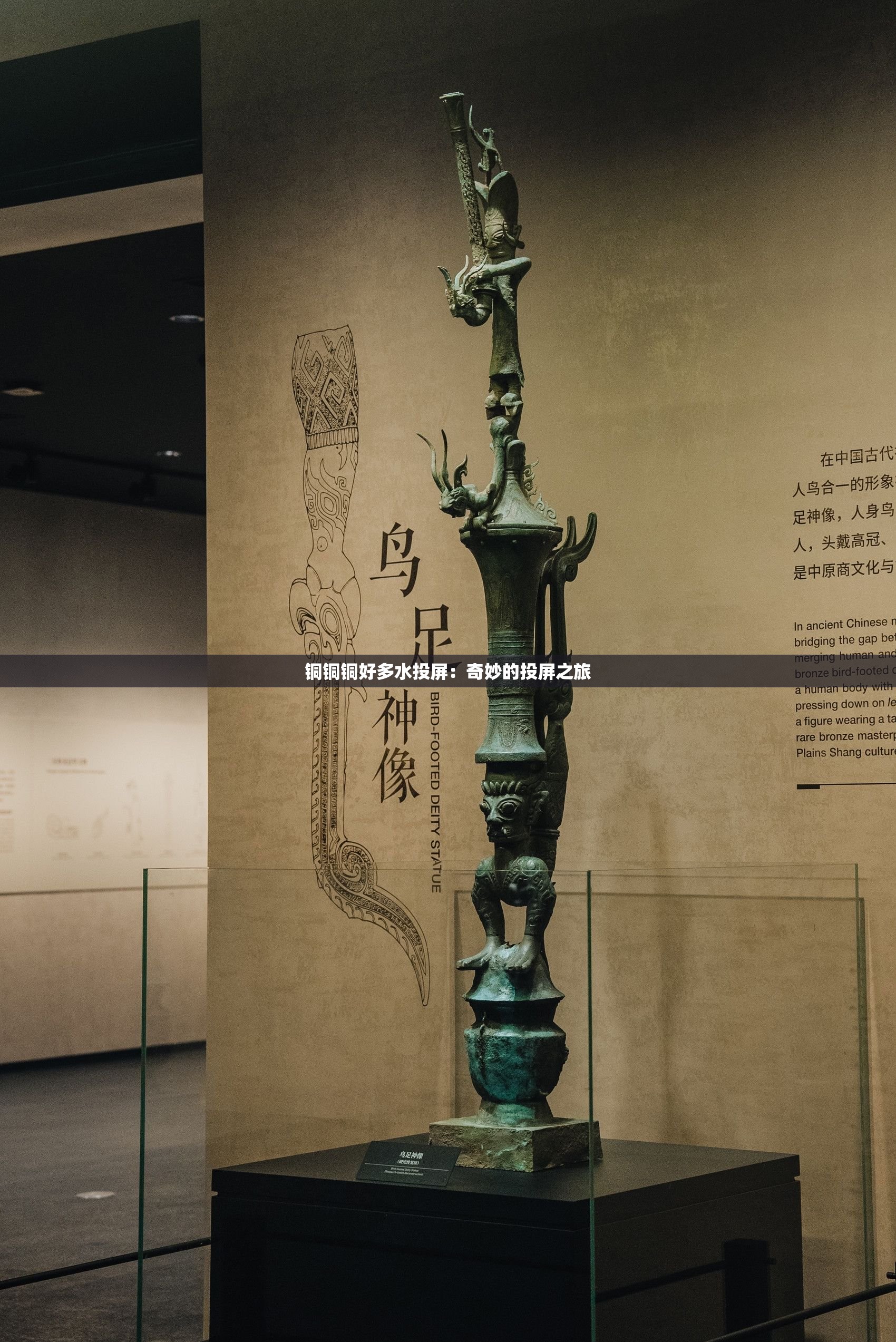 铜铜铜好多水投屏：奇妙的投屏之旅