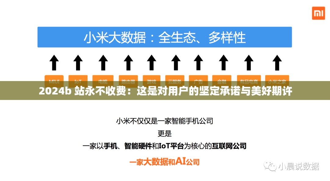 2024b 站永不收费：这是对用户的坚定承诺与美好期许