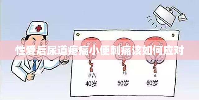 性爱后尿道疼痛小便刺痛该如何应对