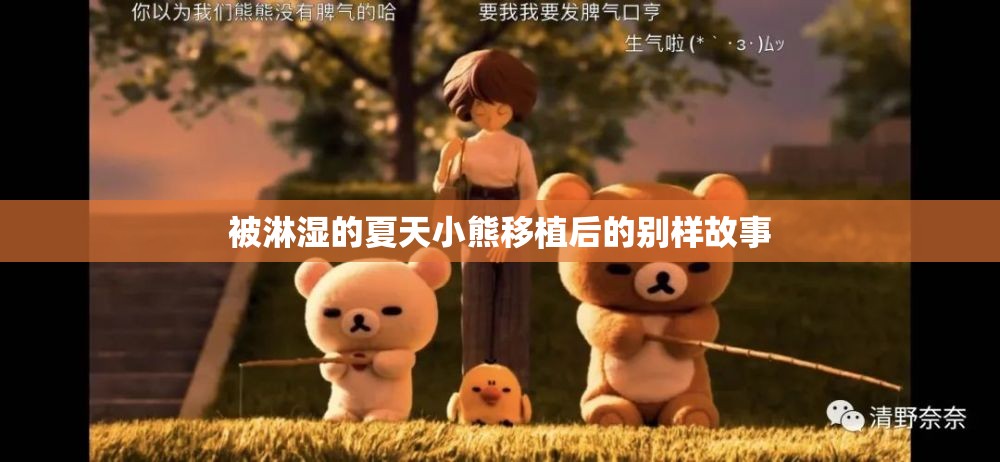 被淋湿的夏天小熊移植后的别样故事