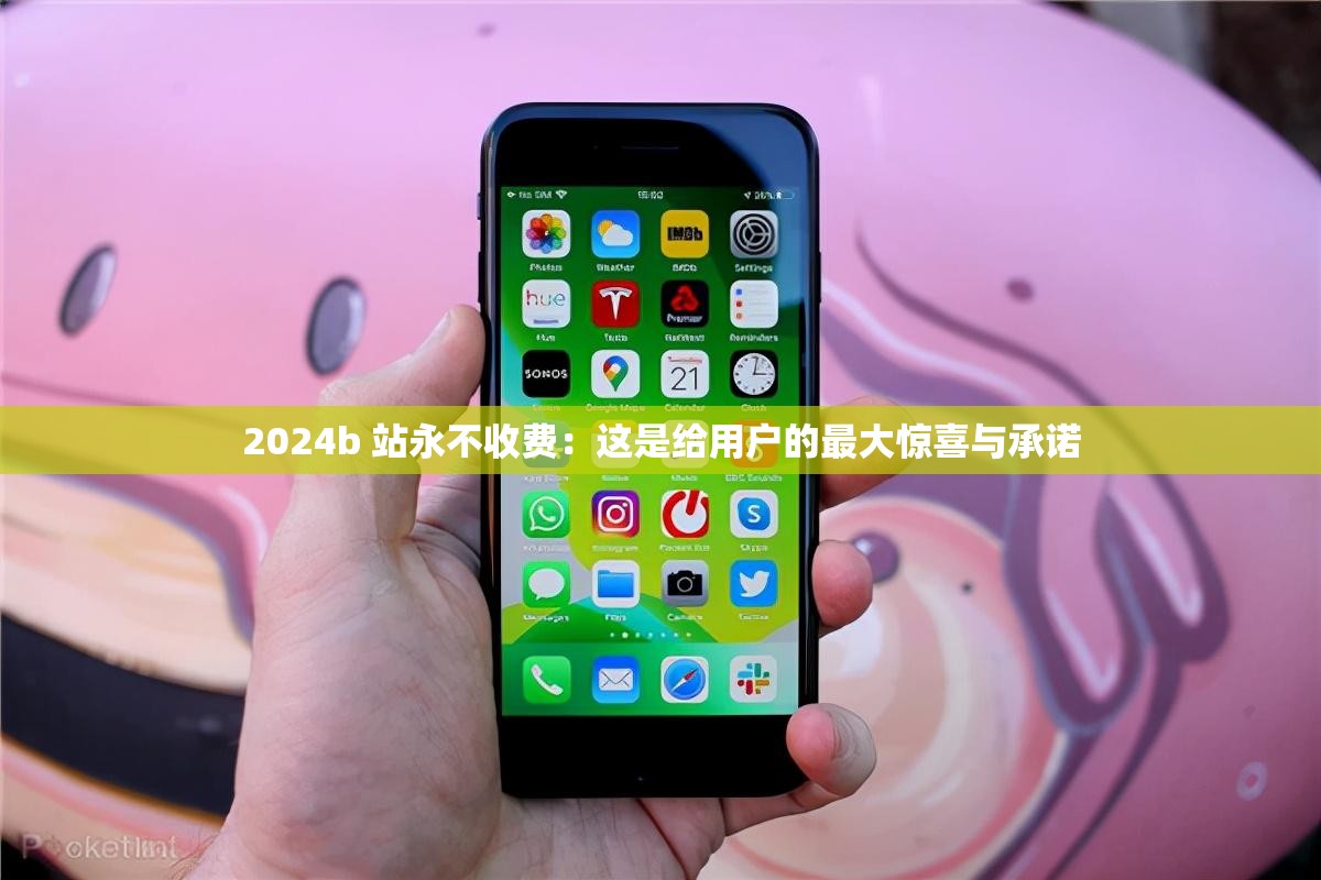 2024b 站永不收费：这是给用户的最大惊喜与承诺