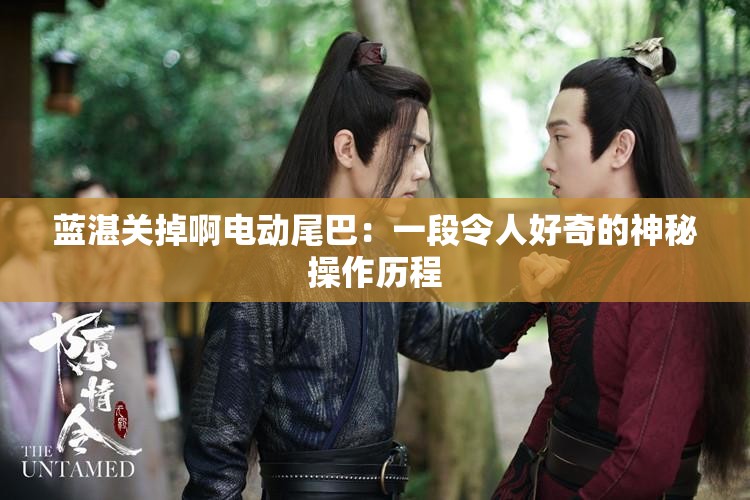 蓝湛关掉啊电动尾巴：一段令人好奇的神秘操作历程