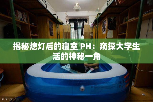 揭秘熄灯后的寝室 PH：窥探大学生活的神秘一角