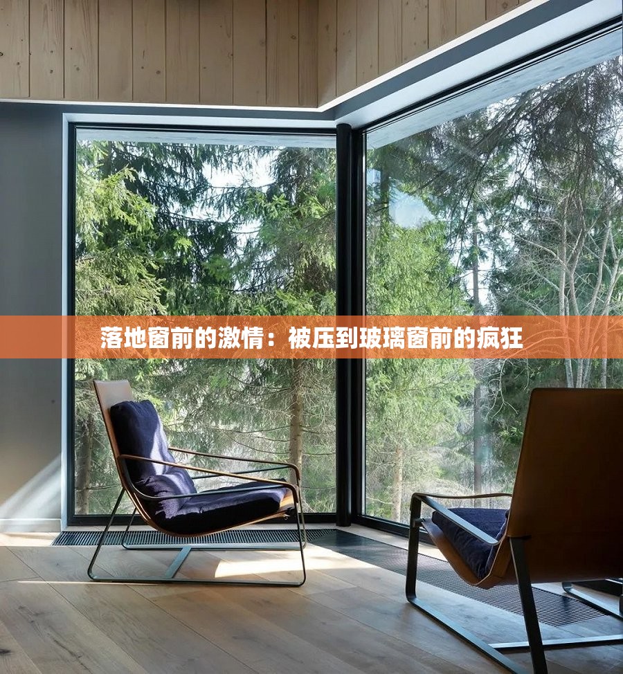 落地窗前的激情：被压到玻璃窗前的疯狂