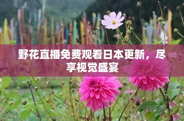 野花直播免费观看日本更新，尽享视觉盛宴