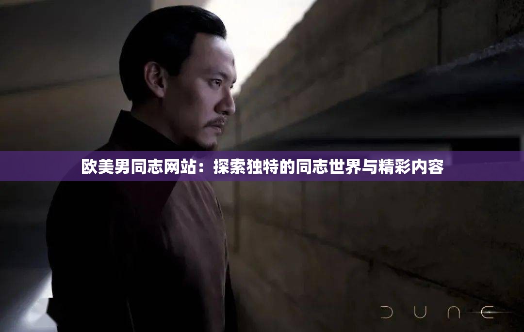 欧美男同志网站：探索独特的同志世界与精彩内容
