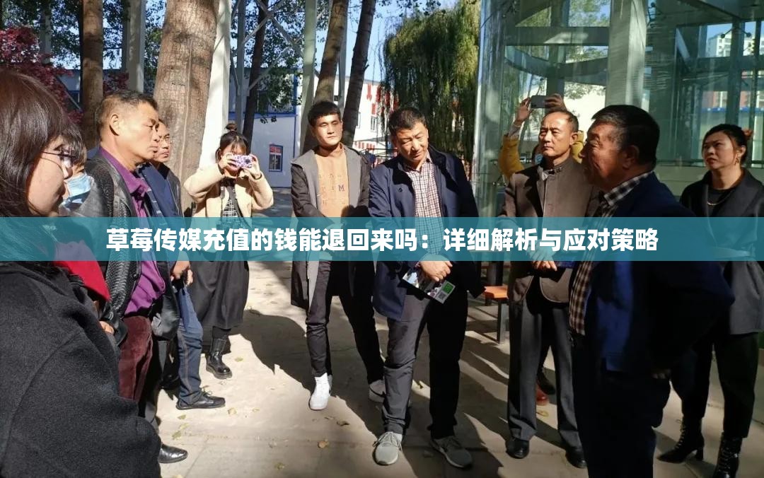 草莓传媒充值的钱能退回来吗：详细解析与应对策略