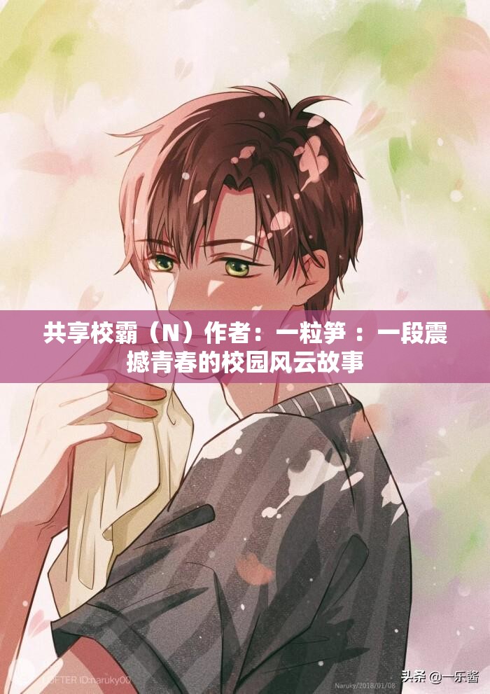 共享校霸（N）作者：一粒笋 ：一段震撼青春的校园风云故事