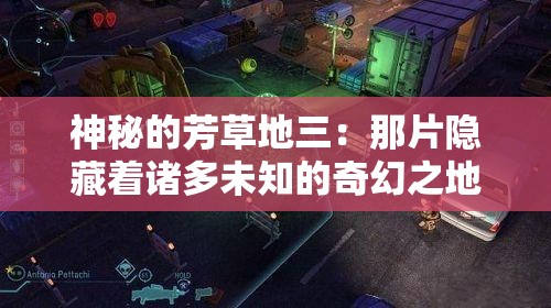 神秘的芳草地三：那片隐藏着诸多未知的奇幻之地