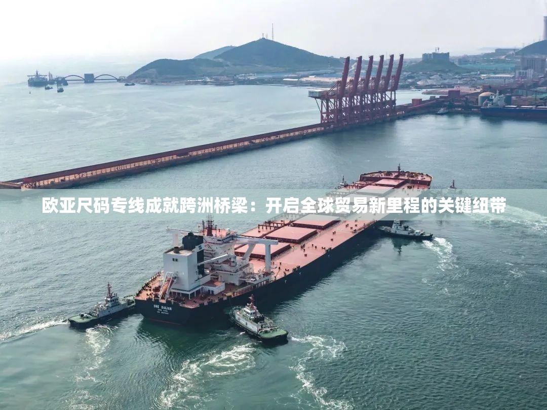 欧亚尺码专线成就跨洲桥梁：开启全球贸易新里程的关键纽带