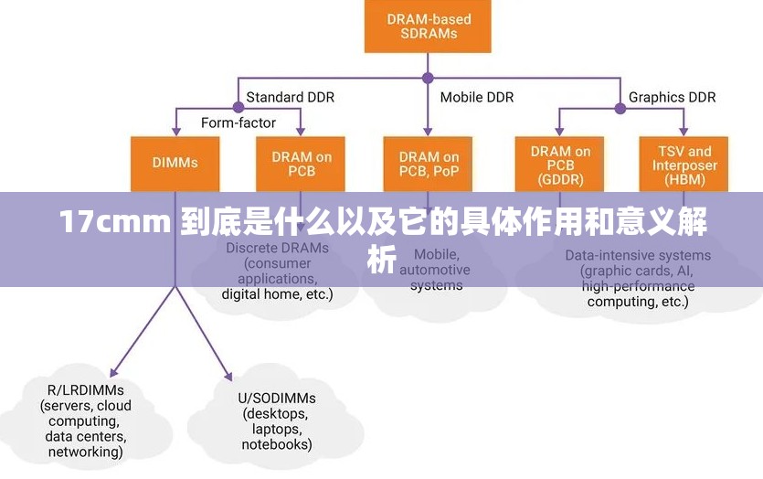 17cmm 到底是什么以及它的具体作用和意义解析