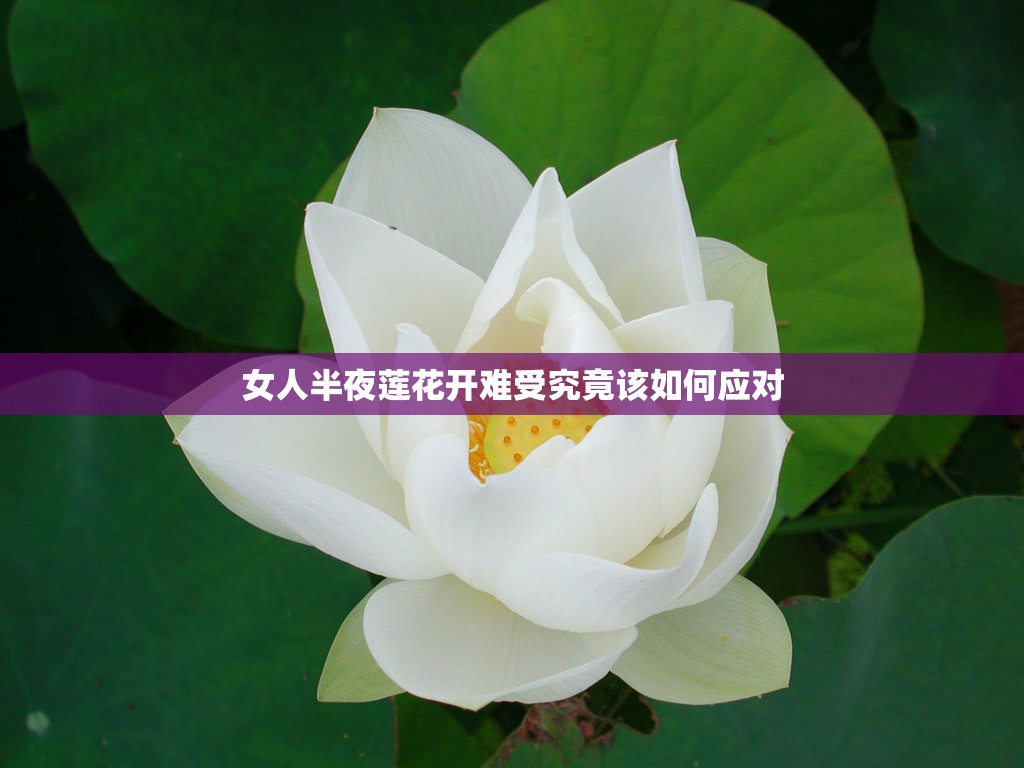 女人半夜莲花开难受究竟该如何应对