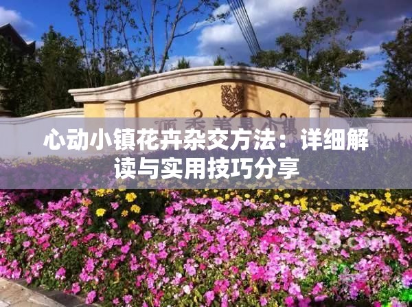 心动小镇花卉杂交方法：详细解读与实用技巧分享