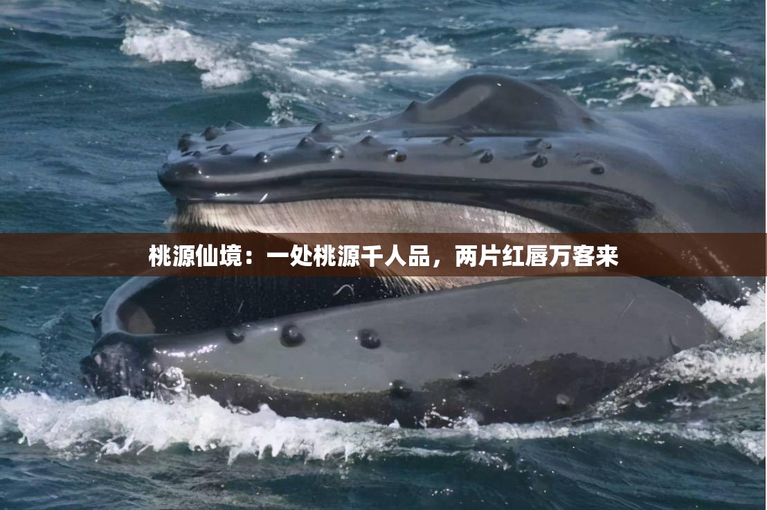 桃源仙境：一处桃源千人品，两片红唇万客来