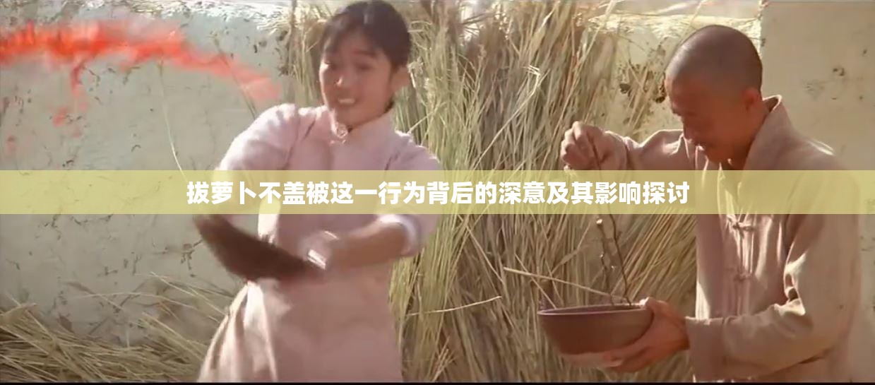 拔萝卜不盖被这一行为背后的深意及其影响探讨