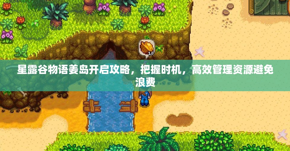 星露谷物语姜岛开启攻略，把握时机，高效管理资源避免浪费