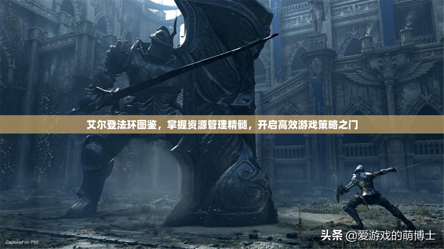 艾尔登法环图鉴，掌握资源管理精髓，开启高效游戏策略之门