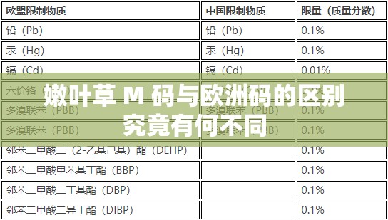 嫩叶草 M 码与欧洲码的区别究竟有何不同