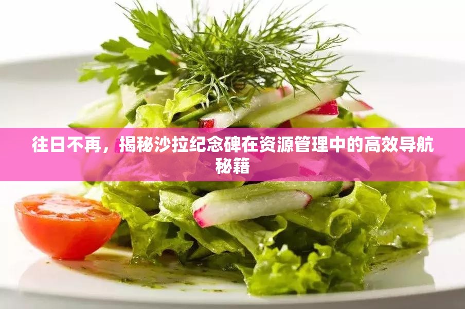 往日不再，揭秘沙拉纪念碑在资源管理中的高效导航秘籍