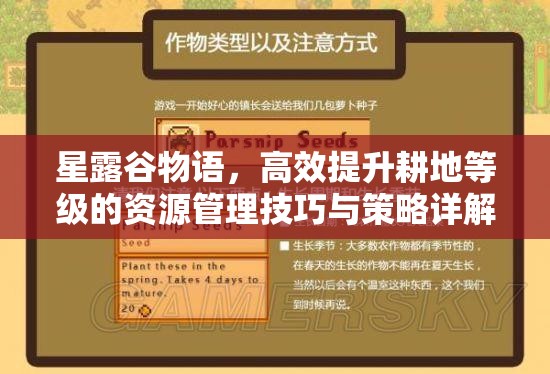 星露谷物语，高效提升耕地等级的资源管理技巧与策略详解