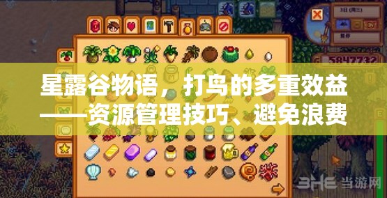 星露谷物语，打鸟的多重效益——资源管理技巧、避免浪费策略及价值最大化指南