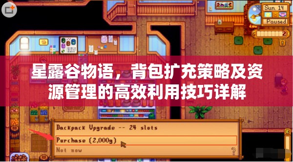 星露谷物语，背包扩充策略及资源管理的高效利用技巧详解