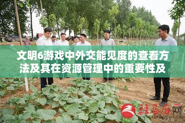 文明6游戏中外交能见度的查看方法及其在资源管理中的重要性及高效运用策略
