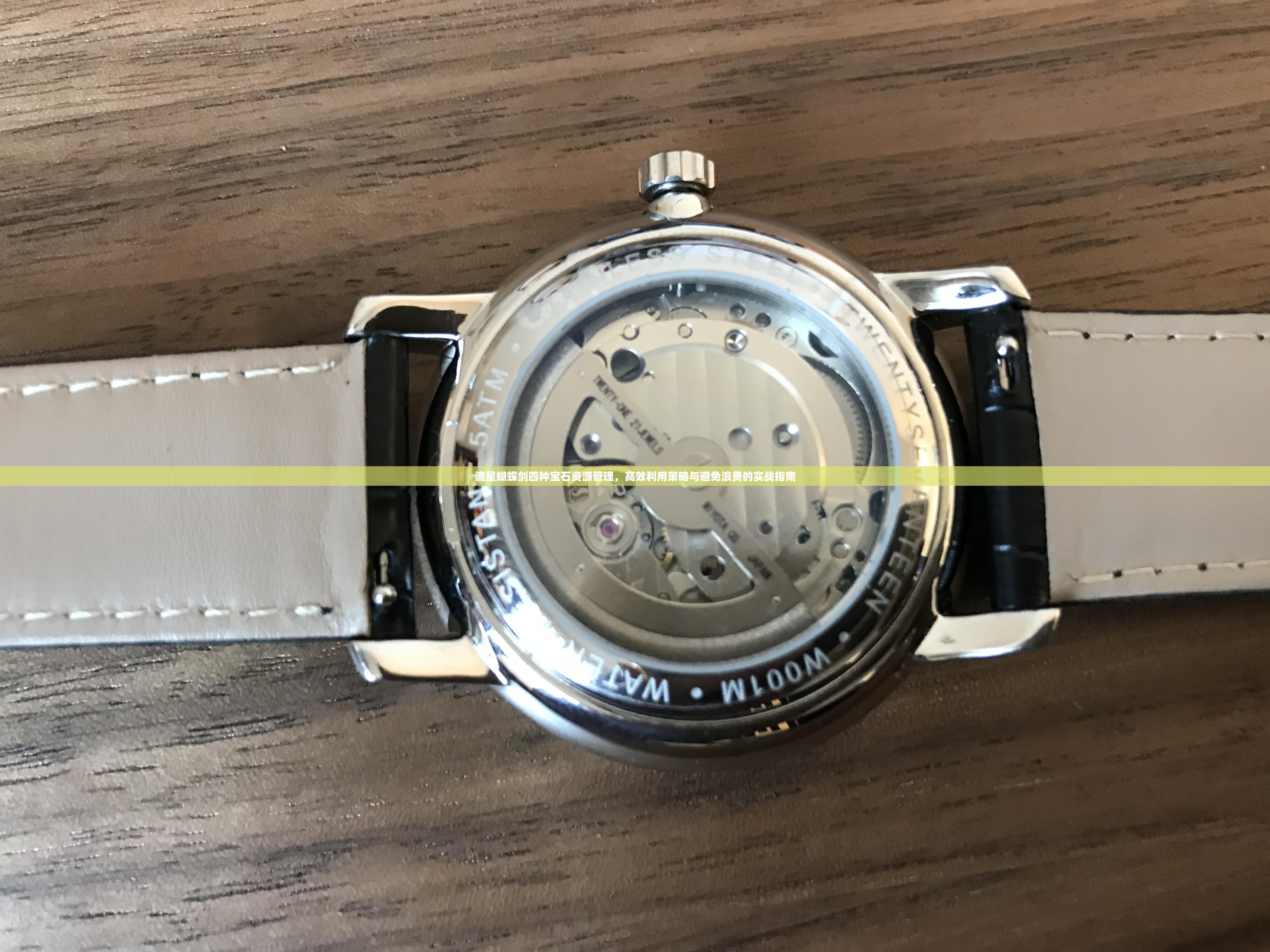 流星蝴蝶剑四种宝石资源管理，高效利用策略与避免浪费的实战指南