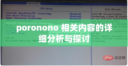 poronono 相关内容的详细分析与探讨