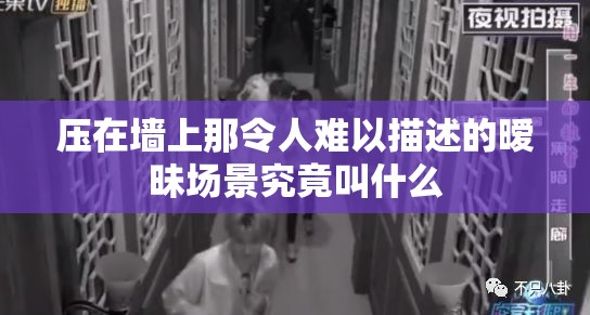 压在墙上那令人难以描述的暧昧场景究竟叫什么