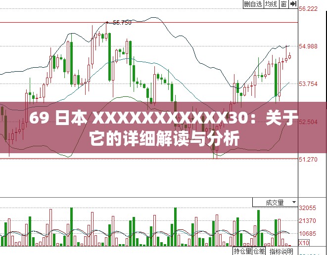 69 日本 XXXXXXXXXXX30：关于它的详细解读与分析
