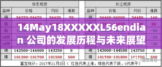 14May18XXXXXL56endian 公司的发展历程与未来展望