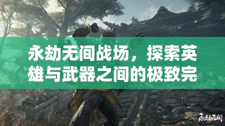 永劫无间战场，探索英雄与武器之间的极致完美搭配策略