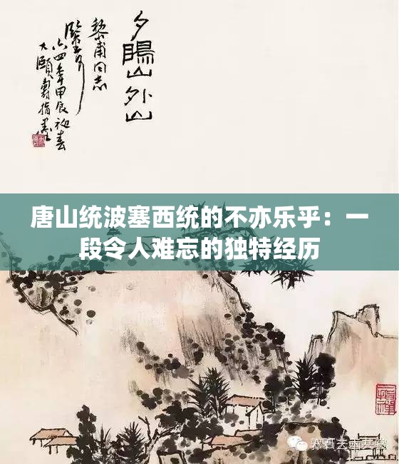 唐山统波塞西统的不亦乐乎：一段令人难忘的独特经历