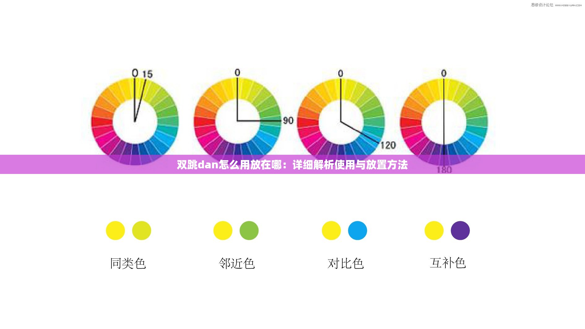 双跳dan怎么用放在哪：详细解析使用与放置方法